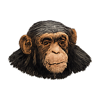 Chimpanzee-Tracking